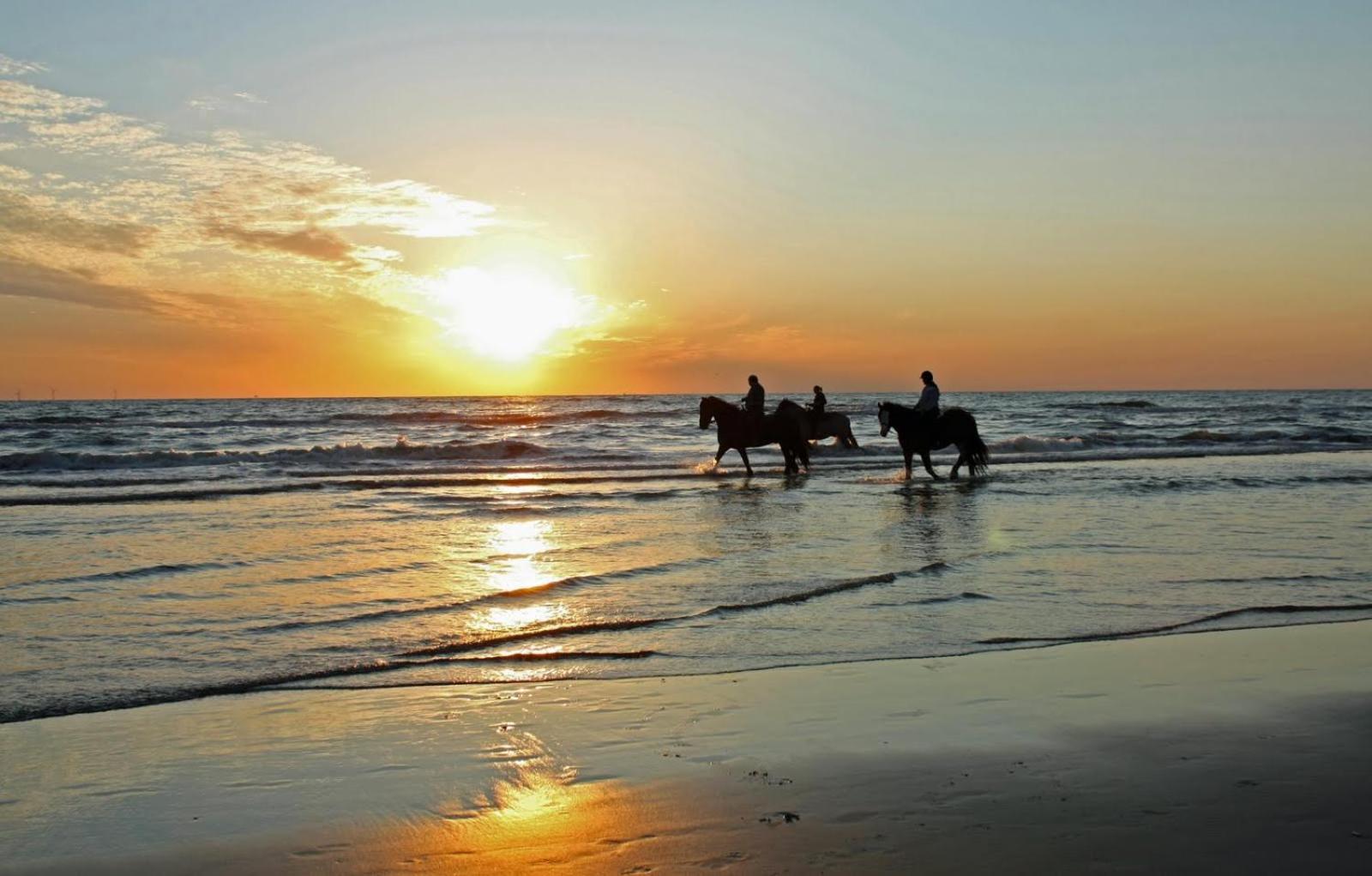 Mer Et Soleil A Blonville Sur Mer/ Deauville 外观 照片
